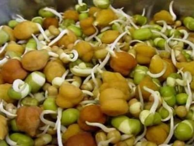 Health First | जाणून घ्या मोड आलेल्या कडधान्यांचे आरोग्यदायी फायदे