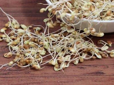 Health First | कोलेस्टेरॉल कमी करण्यासाठी मोड आलेली मटकी आहे उपयोगी Health First | कोलेस्टेरॉल कमी करण्यासाठी मोड आलेली मटकी आहे उपयोगी