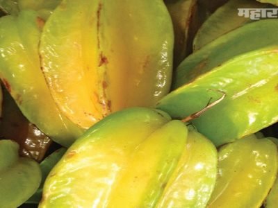 Health First | C आणि B जीवनसत्व देणार स्टार फ्रुट | जाणून घ्या मोठे फायदे