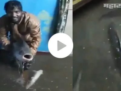 VIDEO | पुराच्या पाण्यासोबत घरामध्ये आले मोठे मासे